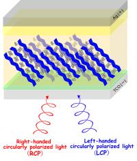 circularly polarized light detector