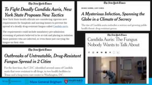 Candida auris outbreaks_News Headlines