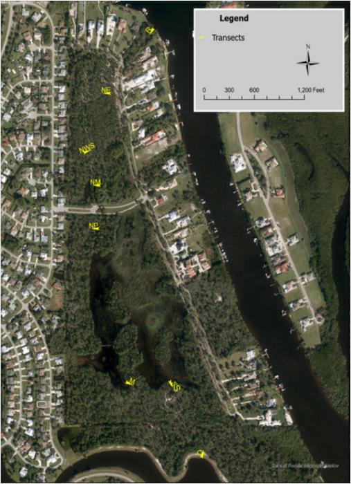 Transects within Spruce Bluff Preserve