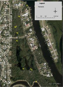 Transects within Spruce Bluff Preserve