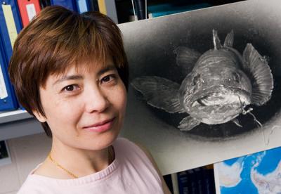 Origins of Fish Antifreeze