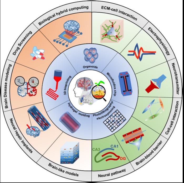 Brain-like living tissue manufacturing technology and application
