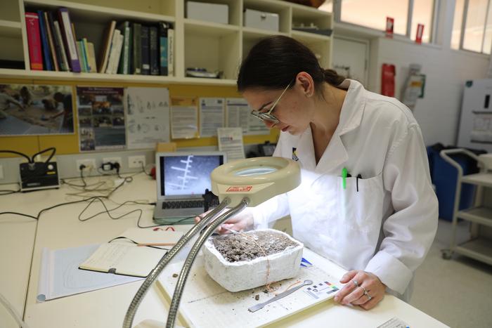 Kelsey Hamilton microexcavates an intact block of dirt