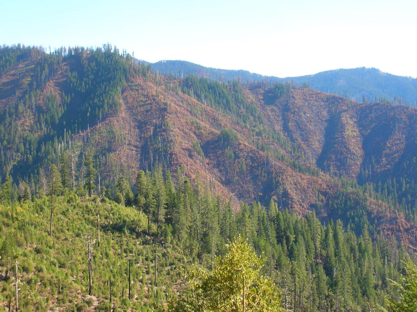 High Severity Fire near Happy Camp, Calif.