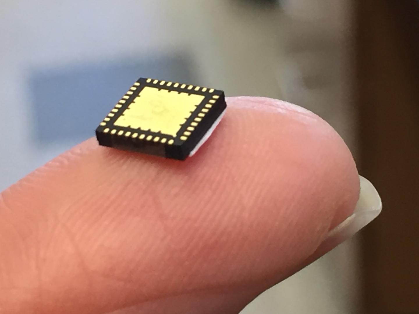 Chip
