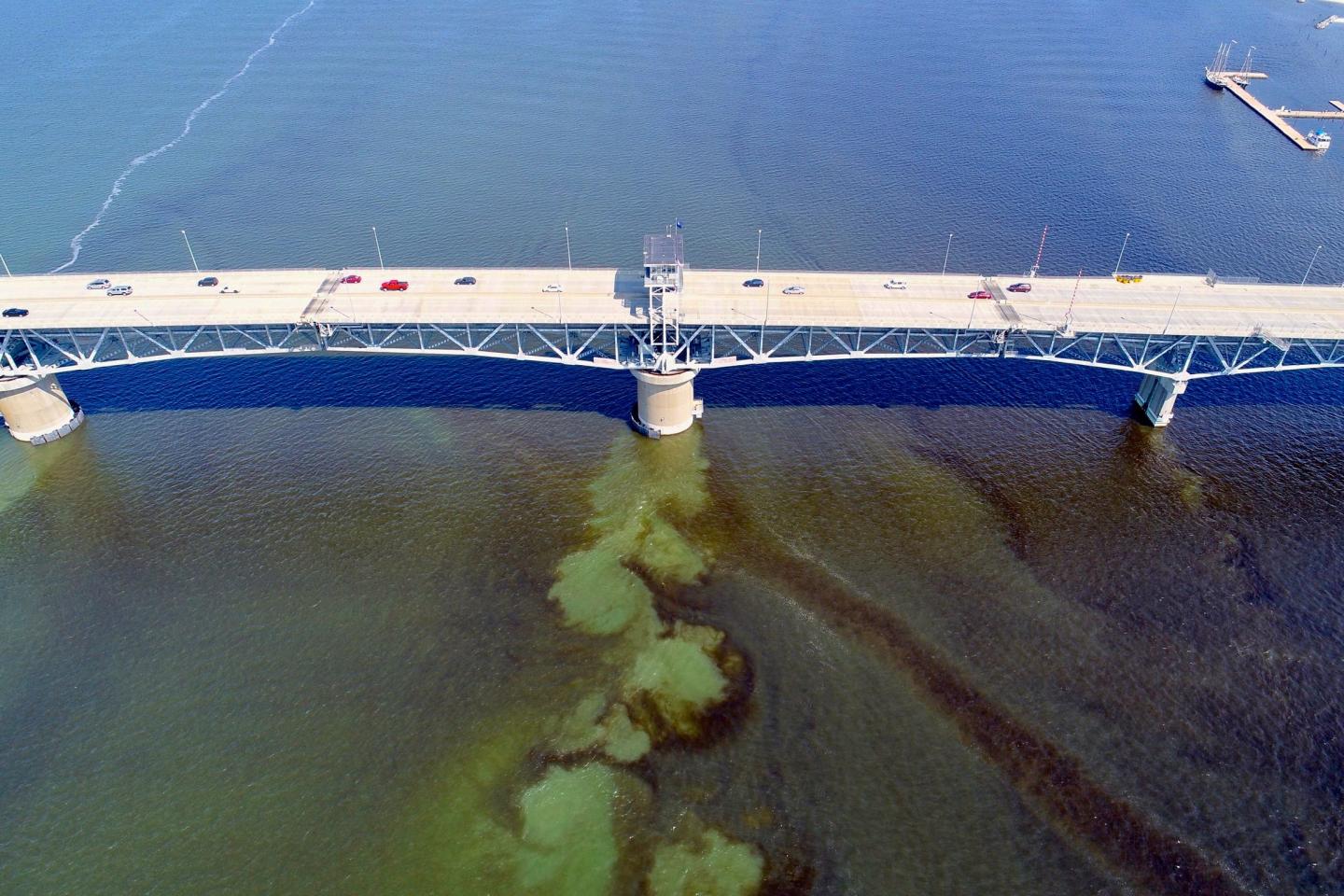 Drone Imagery
