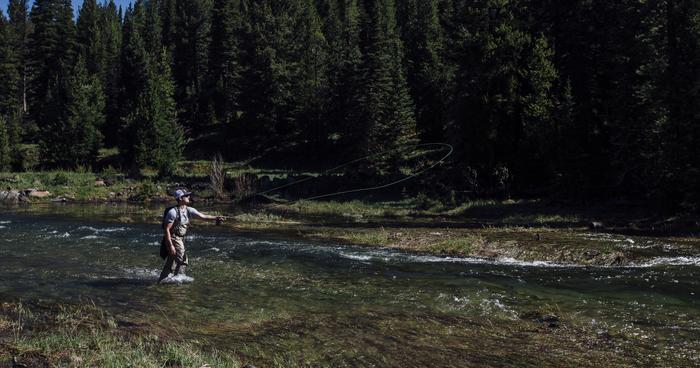 Flyfishing