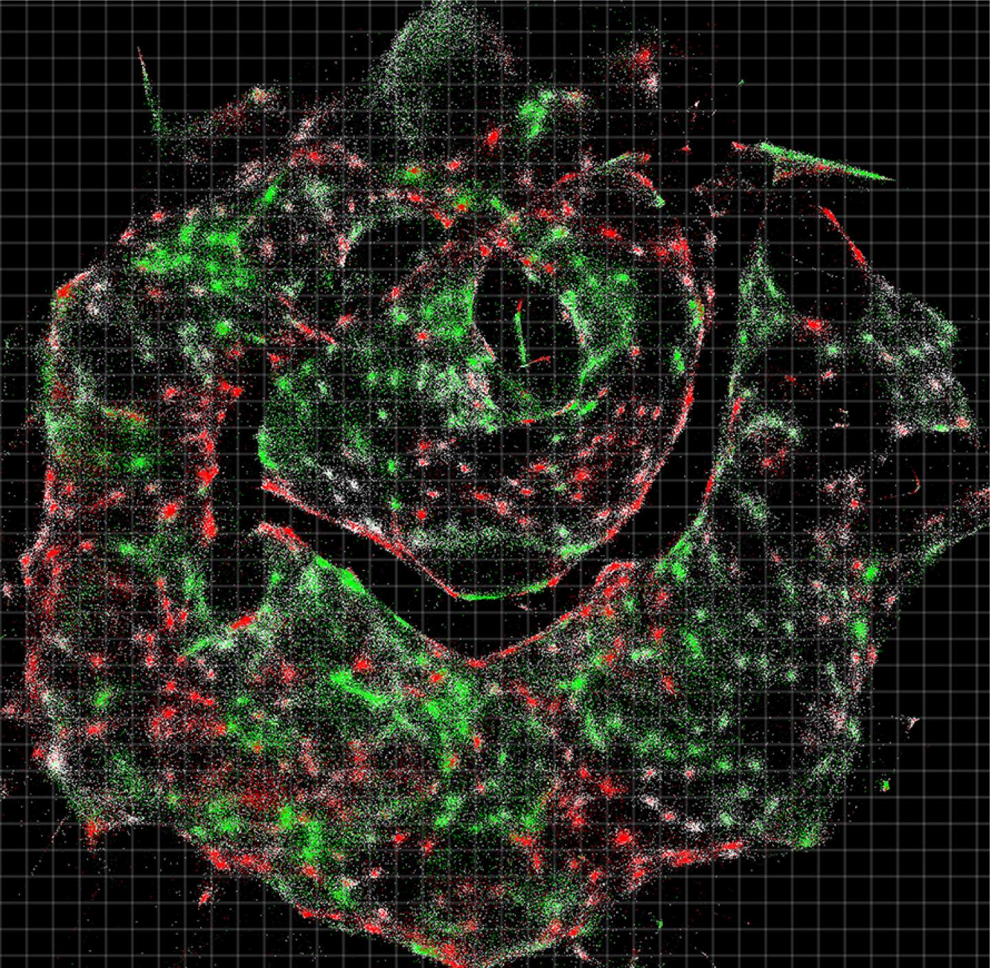 Data for Cell Populations
