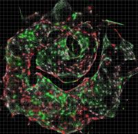 Data for Cell Populations
