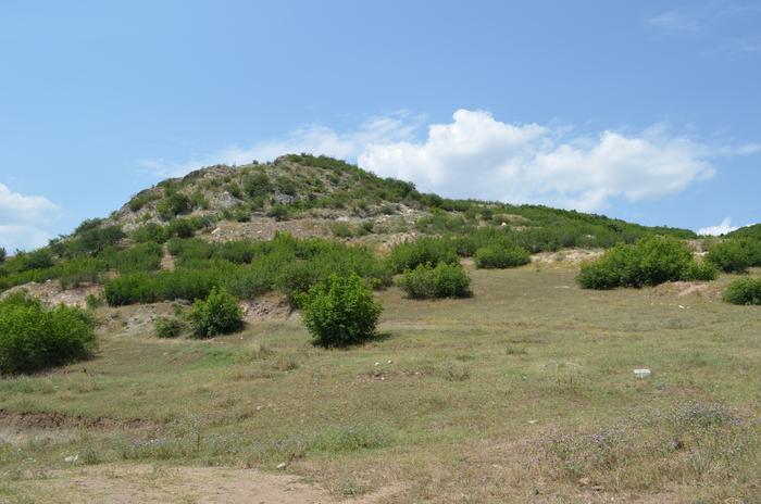 Image of the study site