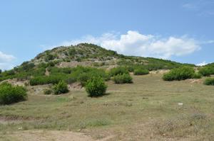 Image of the study site