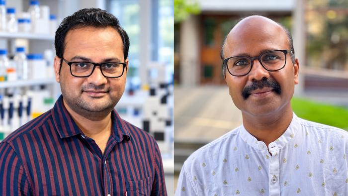 Sagar Mahale and Chandrasekhar Kanduri
