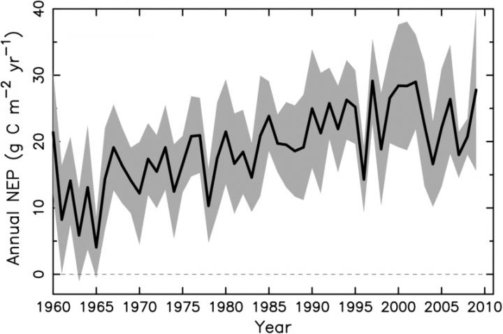 Climate Models Disagree on Strength of Carbon  Land Sink