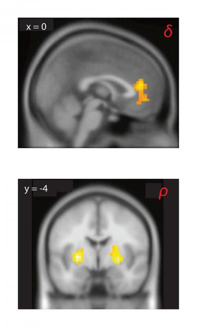 Brain Activity During Competitive Social Interactions