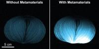 Two MRI Images of An Onion