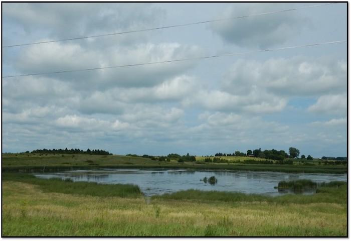 Constructed wetland