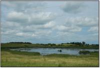 Constructed wetland