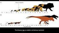 The Dinosaur Gap