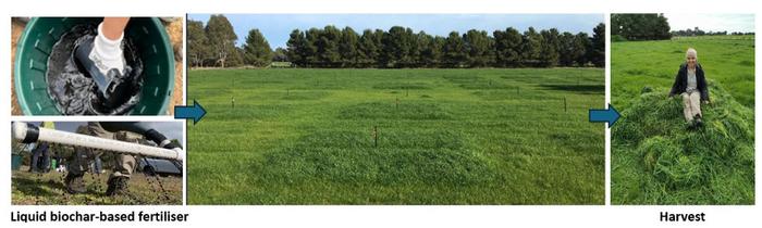 Distinct forms of liquid biochar mineral complex fertilisers differently increase crop yield, nutrient balance and economic return
