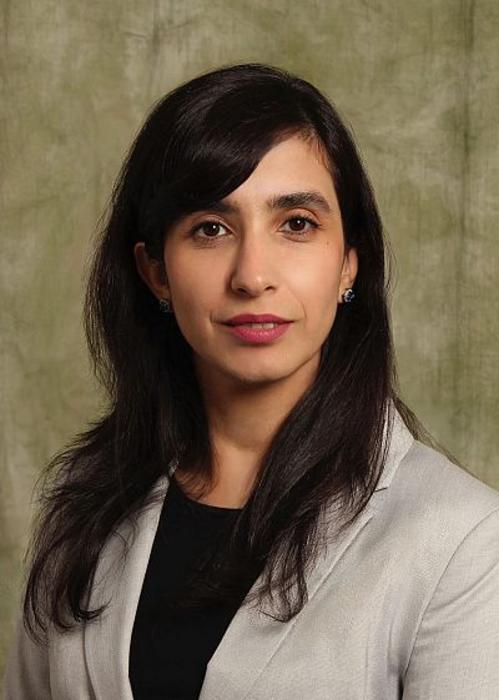 Azadeh Nasuhidehnavi