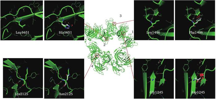 Mutations in the LOXHD1 gene