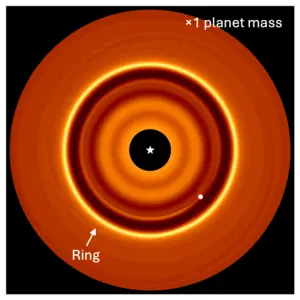 How tripling the planet mass changes the position of the dust ring