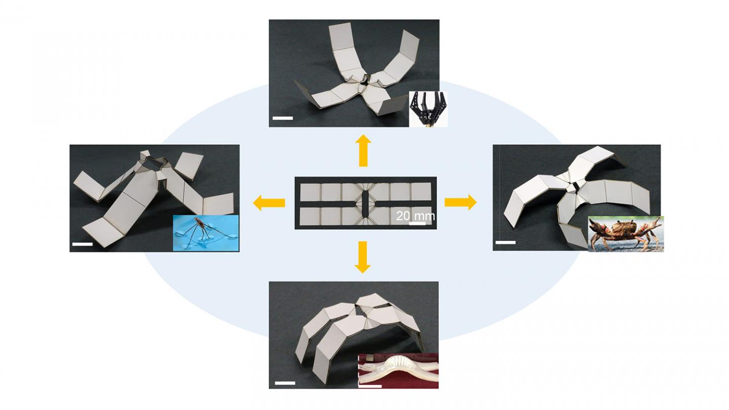 Kirigami-Inspired Robotics