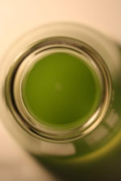 Alga
