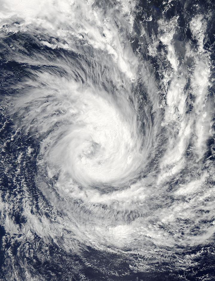 Aqua Image of Glenda