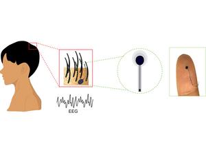 Schematic of stick-and-play bioadhesive hairlike electrode.