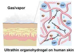 A gas-permeable organohydrogel epidermal electrode for long-term health monitoring
