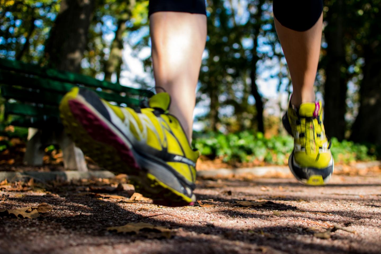 Physical Activity Helps to Counteract Weight Gain from Obesity-Causing Gene Variant