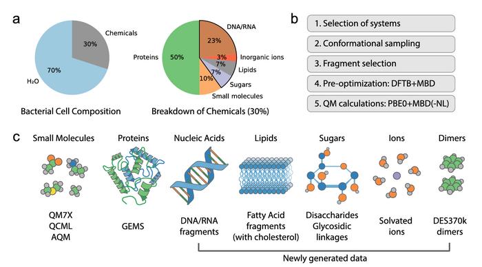 Mapping the Molecules of Life: Expanding the Quantum-Mechanical Foundation for Biomolecular AI