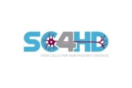 Consortium logo