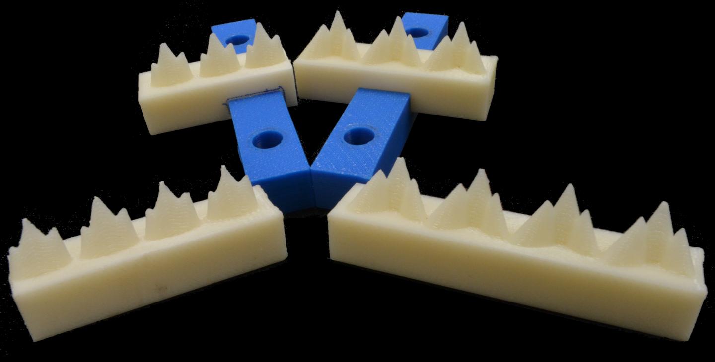 Replica Triassic Teeth; Morganucodon at Left and Kuehneotherium at Right