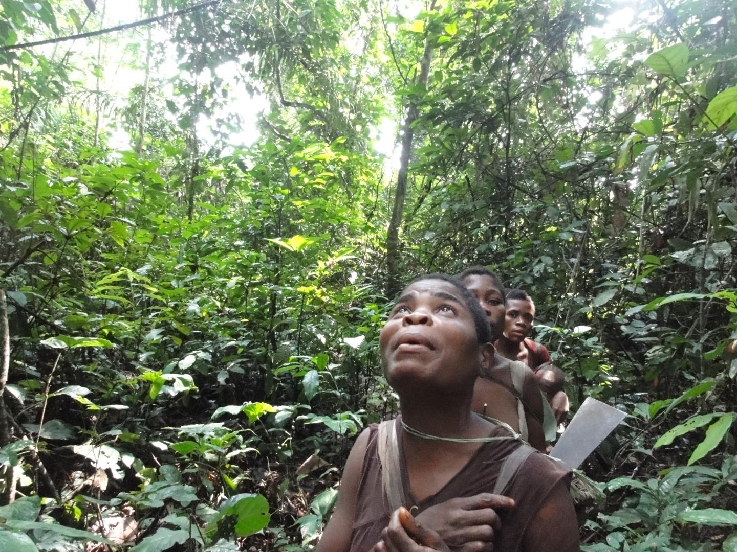 Mbendjele Woman