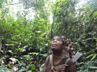 Mbendjele Woman
