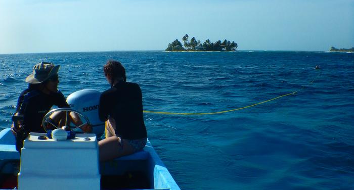 Fieldwork