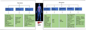 Risk Factors and Biomarkers for Immune Checkpoint Inhibitor-mediated Hepatotoxicity: Emerging Insights and Future Perspectives