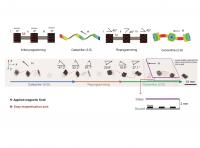 On-demand reprogramming to change millirobot's locomotion mode