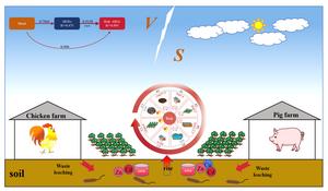 Heavy metals and antibiotic resistance genes in large-scale livestock farming environments: pollution characteristics, driving factors, and risks to humans