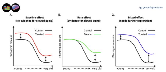 Distinguishing intervention effects on aging: baseline shifts versus changes in aging rate.