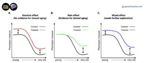 Distinguishing intervention effects on aging: baseline shifts versus changes in aging rate.