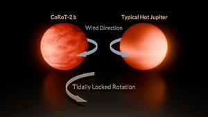CoRoT-2 b versus a typical hot Jupiter