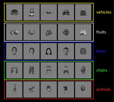 Brain Stimuli