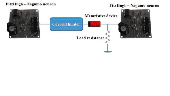Schematic of Electronic Neurons Coupling via a Memristive Device