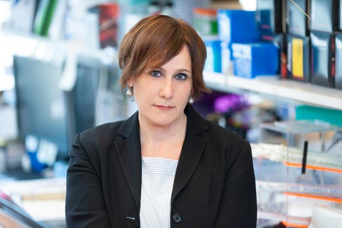 Dr. Andrea Schietinger