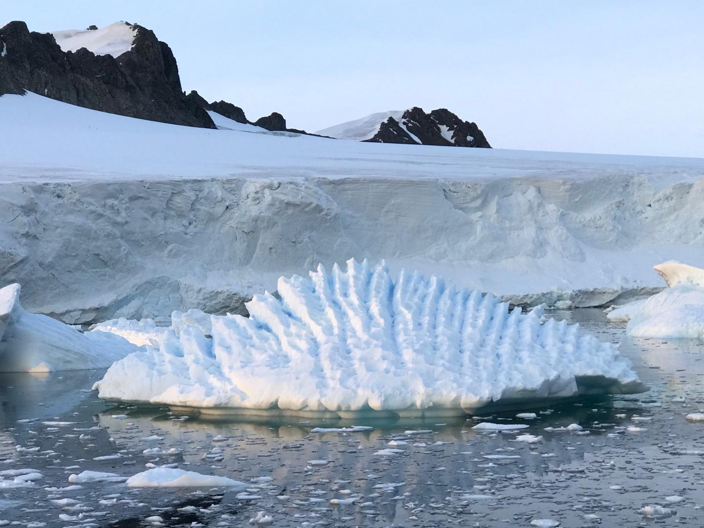 Iceberg