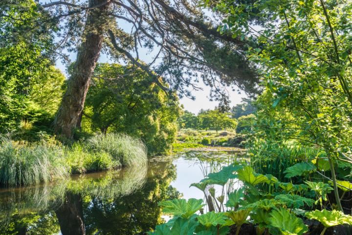 Cambridge University Botanic Gardens