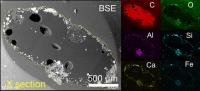 Figure 2. Back-scattered electron (BSE) image